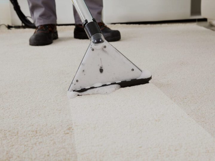Why You Need a Professional Carpet Cleaning Service