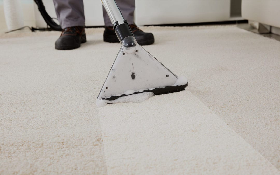 Why You Need a Professional Carpet Cleaning Service